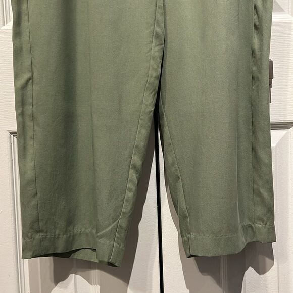 Frank & Oak Sage Green‎ Balloon Cut Button Fly Tencel Pants Size 12 NWT - Picture 5 of 14